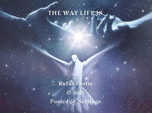 The Way Life Is 2011