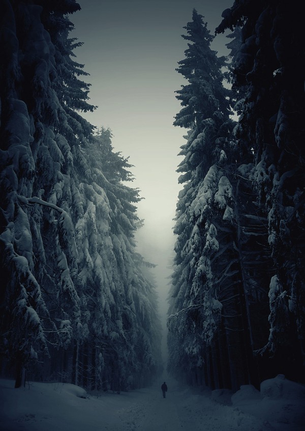 winter-landscapes-1-600x847