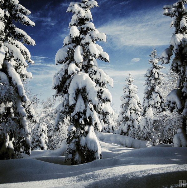 winter-landscapes-13-600x602