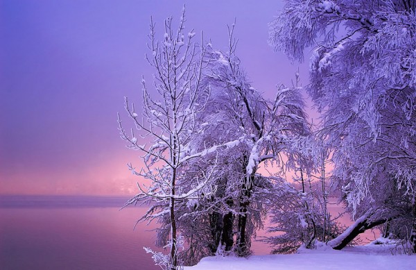 winter-landscapes-8-600x389
