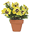 pot_of_flowers