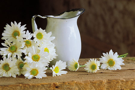 flowers_pitcher