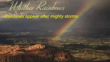 God’s Rainbows