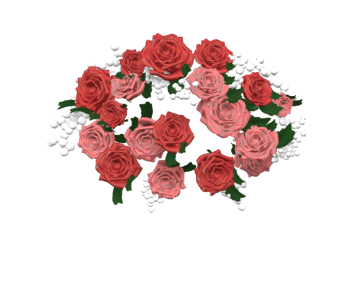 valentine_roses_forming_a_heart