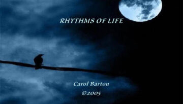 rythms-of-life