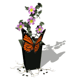 butterfly_and_flowers_lg_wht