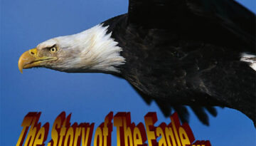 the-story-of-the-eagle
