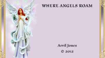 where-angels-roam