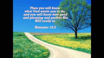 God’s Will in Our Life