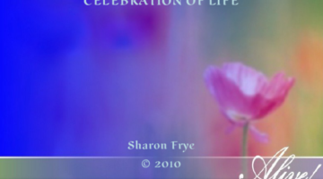 Celebration Of Life