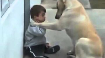 Dog and Boy with Down Syndrome