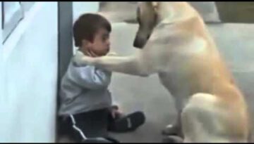 Dog and Boy with Down Syndrome