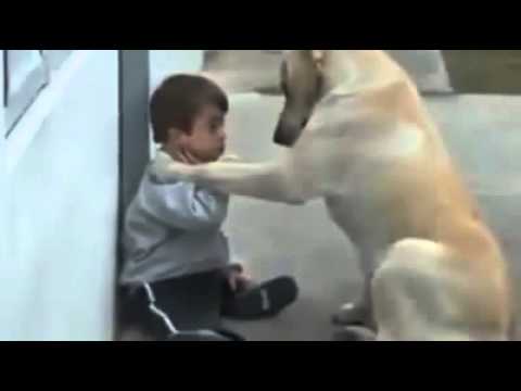 Dog and Boy with Down Syndrome