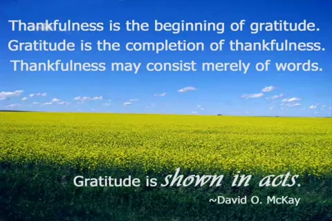 Words of Gratitude