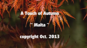 A Touch of Autumn « NetHugs.com – Inspirational eCards