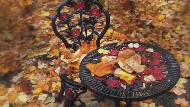 Autumn – Ryan Stewart thumbnail