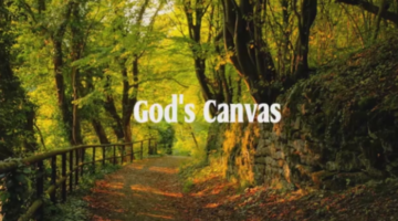 God s Canvas