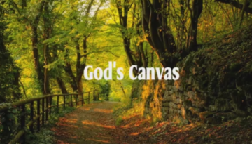 God s Canvas