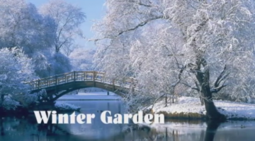 Winter Garden