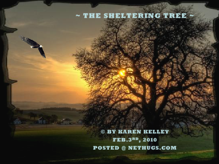 The Sheltering Tree