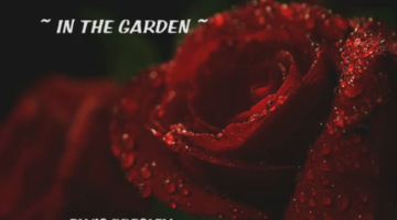 In The Garden by Elvis Presley