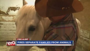 Cowboy Reunited with Horse from Black Forest Fire