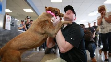 Veteran Reunited with Bomb-Sniffing Dog