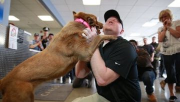 Veteran Reunited with Bomb-Sniffing Dog