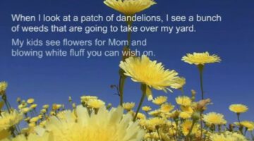 Mud Puddles and Dandelions thumbnail