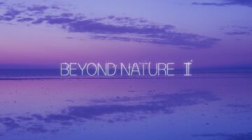 Beyond Nature II