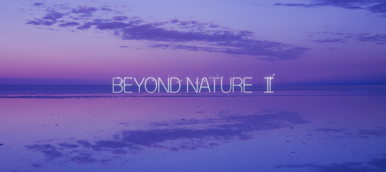 Beyond Nature II