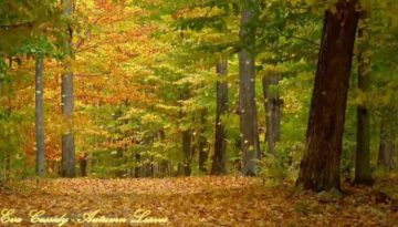 Eva Cassidy – Autumn Leaves