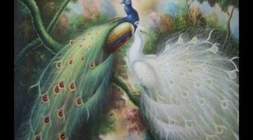 Our Seasons of Time