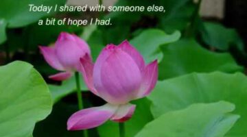 Appreciating Today