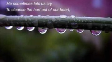 He Gathers Every Tear Drop