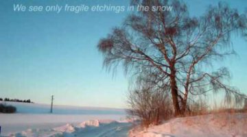 Winter Fantasy