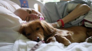 “Pawsitive Pals” San Diego Hospice Pet Therapy Program