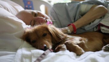 “Pawsitive Pals” San Diego Hospice Pet Therapy Program