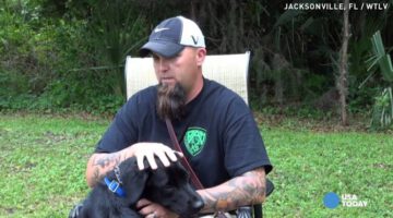 Service Dog Calm War Vet’s PTSD Reaction