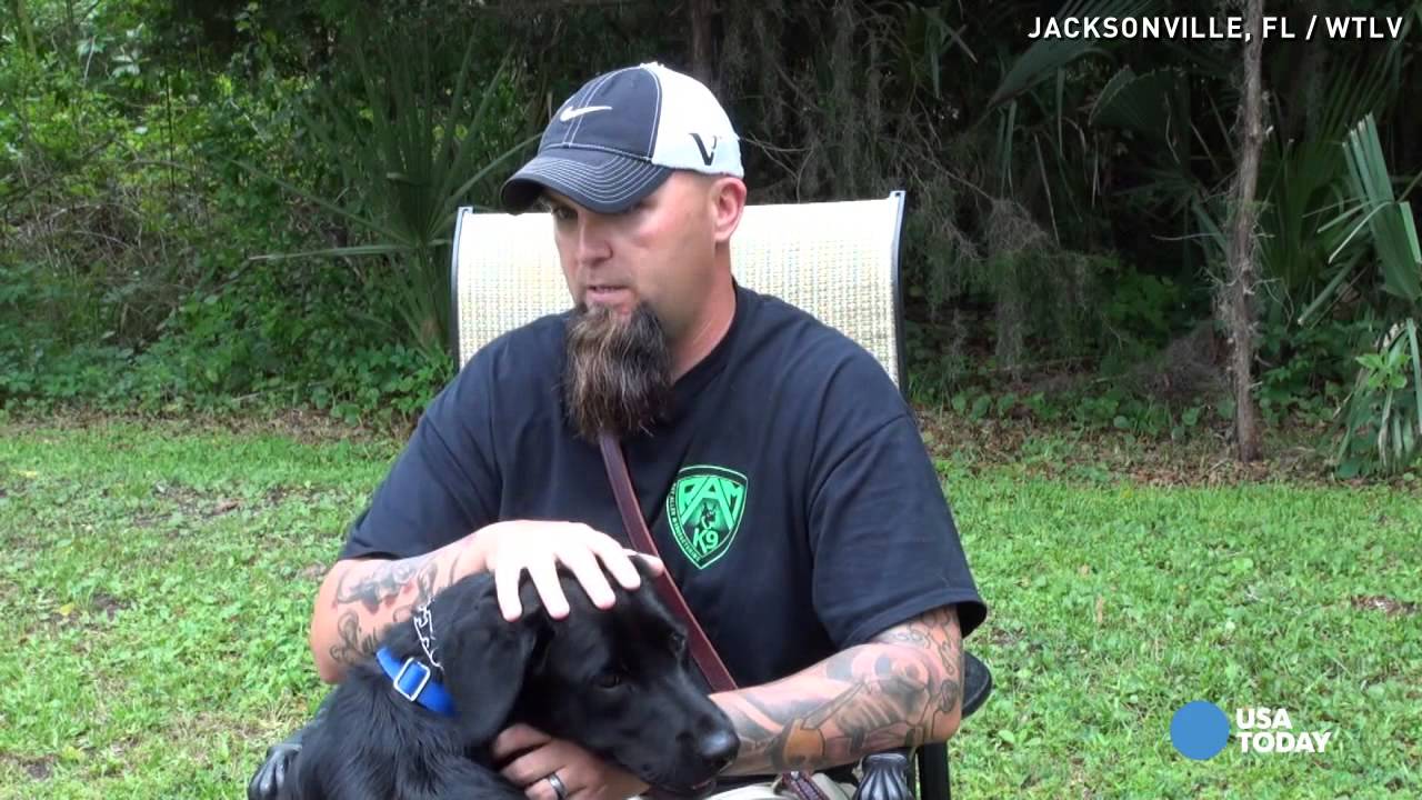 Service Dog Calm War Vet's PTSD Reaction