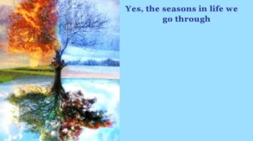 seasons-of-life-2 thumbnail