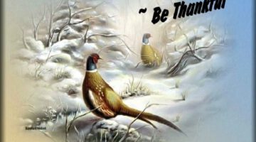 be-thankful-2 thumbnail