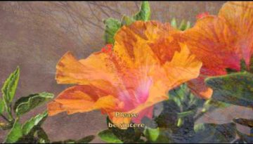 My Wish Came True – Elvis Presley