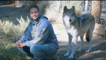 Living with Wolves Saved My Life