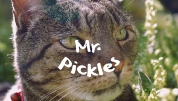 mr-pickles