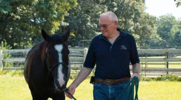 Where Veteran Horses Retire After They’ve Served