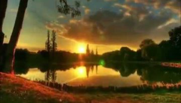 Honey – Bobby Goldsboro