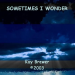sometimes-i-wonder