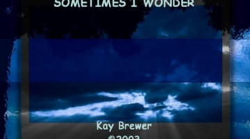 sometimes-i-wonder