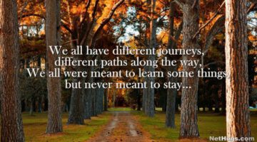 Life is a Journey